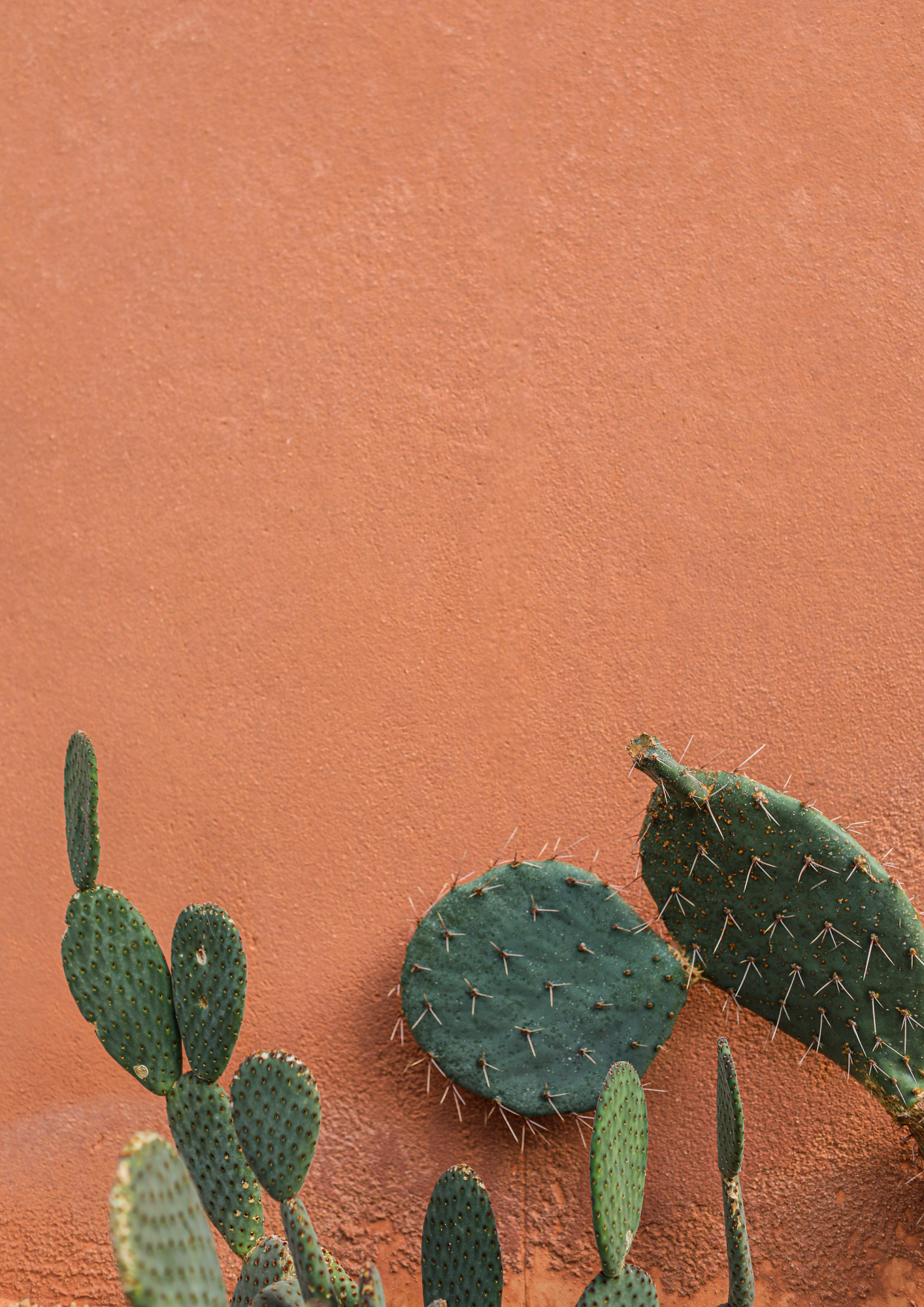 Atelier bien-être à Montélimar – nutrition, soins et partages inspirants chez Inspira